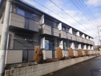 DSC01453.JPG