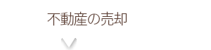 ガイド